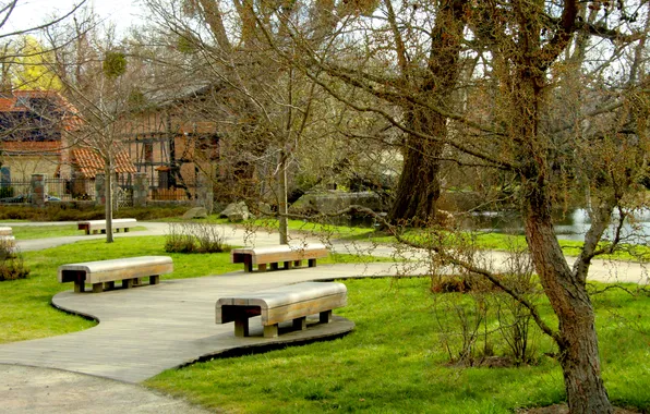 Park, bench, alley