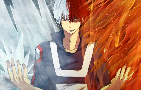 Boku no Hero Academia, Todoroki Shouto, Pixiv