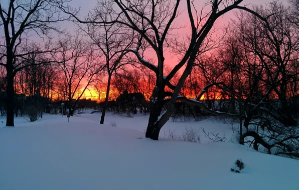 Trees, sunset, winter, snow, houses, branches, orange sky