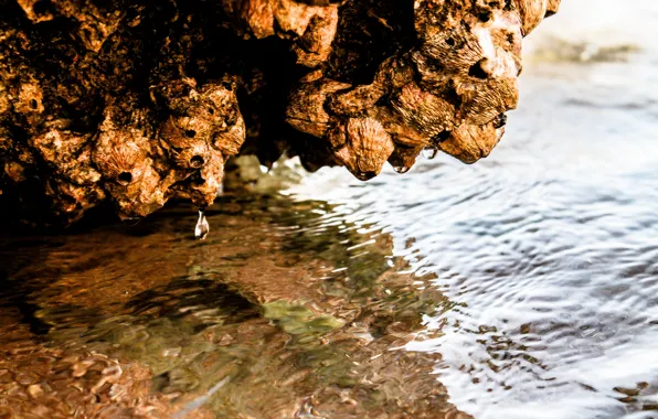 Море, камни, Вода, египед