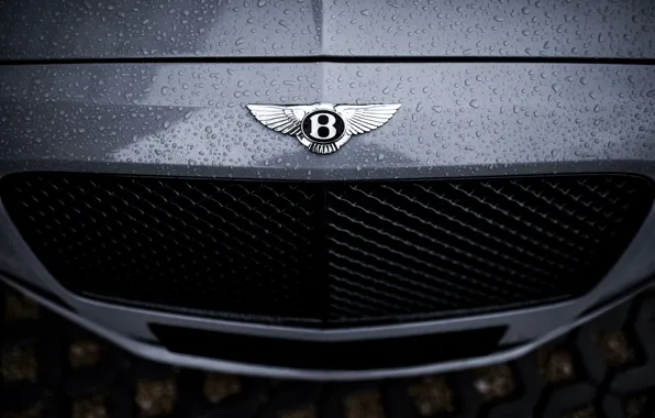 Bentley, Water, Rain, Gray, VAG, Drops, Flying spur