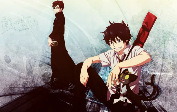 Аниме, арт, парень, братья, Ao no Exorcist, Синий экзорцист, полудемон, Юкио Окумура