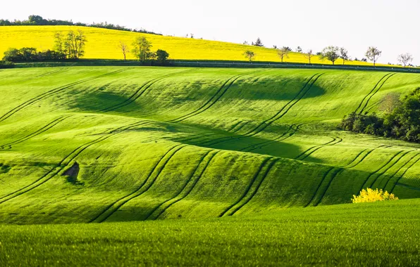 Green, countryside, fresh air