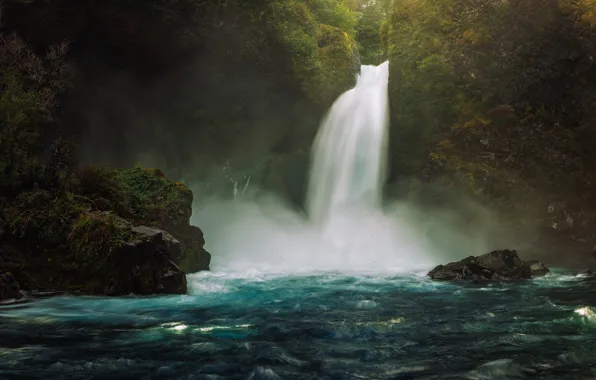 Лес, лето, вода, пейзаж, природа, камни, бурлит, водопад