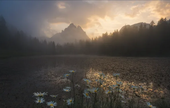 Цветы, горы, природа, озеро, вечер, Nature, flowers, mountain