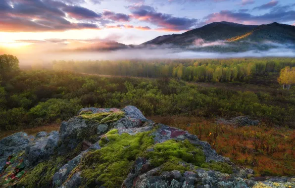 Картинка осень, лес, небо, облака, свет, горы, туман, камни
