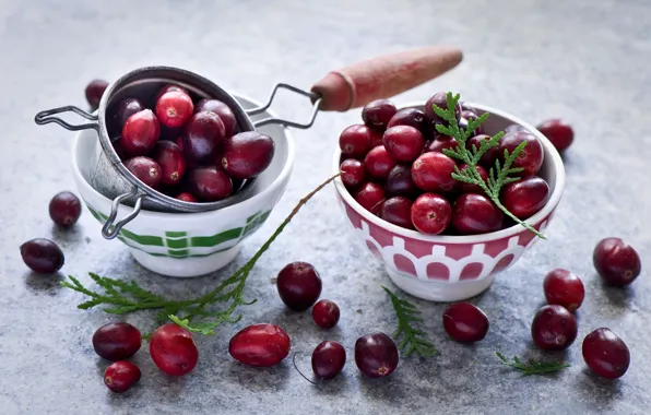 Ягоды, клюква, Cranberry