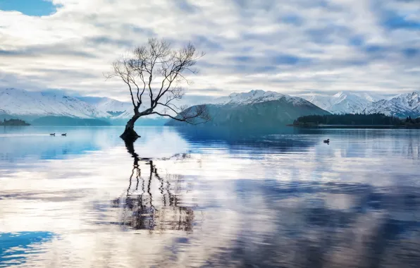 Горы, озеро, новая зеландия, queenstown, lake, new zealand, куинстаун, wanaka