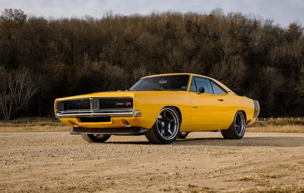 Природа, жёлтый, автомобиль, dodge, charger