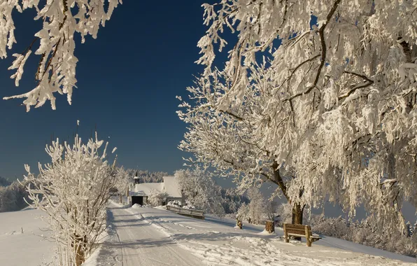 Картинка зима, дорога, снег, ветки, природа