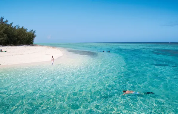 Пляж, вода, прозрачность, океан, белый песок, Heron island