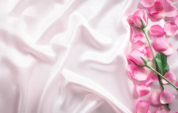 Картинка цветы, розы, лепестки, шелк, розовые, бутоны, fresh, pink