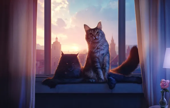 Кошка, кот, взгляд, облака, свет, кошки, город, поза