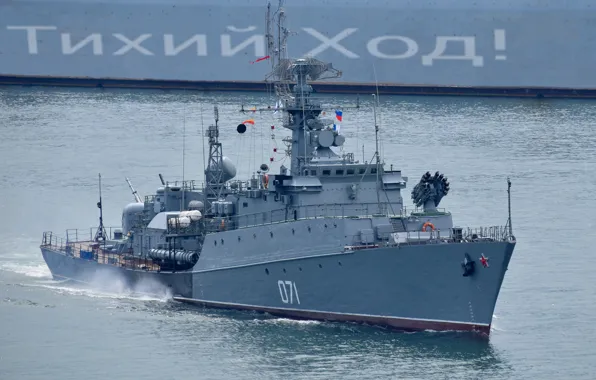 Корабль, противолодочный, малый, альбатрос, севастополь, суздалец