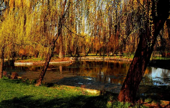 Осень, деревья, природа, пруд, парк, Nature, trees, park