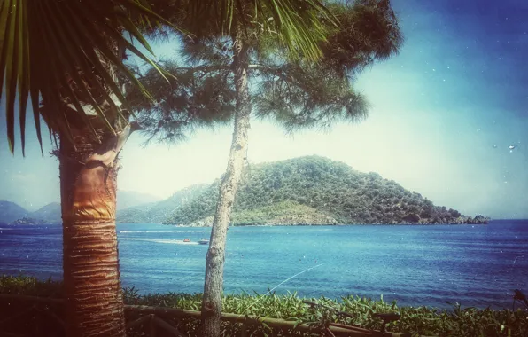 City, summer, beach, coast, island, palm, marmaris
