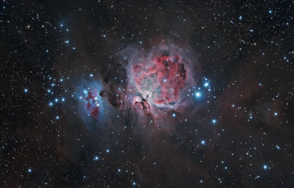 Картинка космос, звезды, звёздное скопление, туманность Ориона