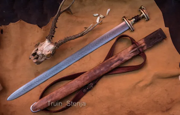 Меч, Ножны, Sword, Вендельская эпоха, Дмитрий Храмцов, Спата, Valsgärde VIII, Череп оленя
