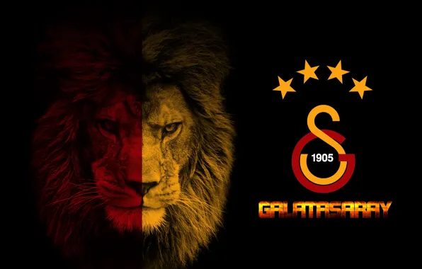 Wallpaper, sport, logo, football, Galatasaray