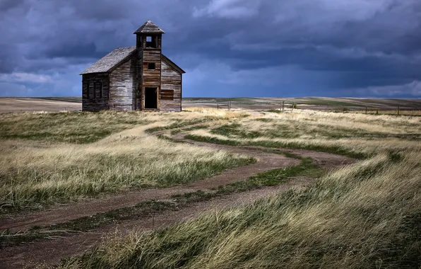 Поле, пейзаж, дома