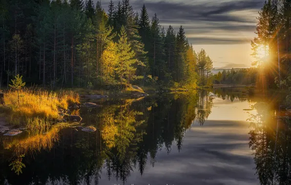 Картинка осень, лес, деревья, отражение, река, лучи солнца, Jorn Allan Pedersen