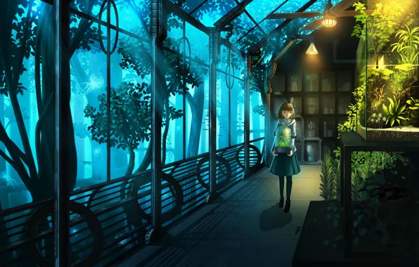 Картинка девушка, цветы, растения, аниме, арт, nauimusuka