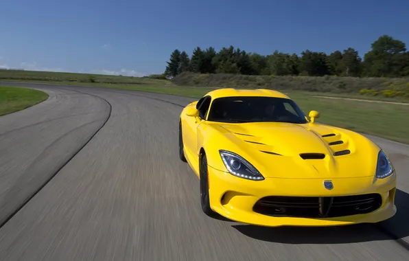 Картинка дорога, лес, движение, додж, вайпер, вид спереди, Dodge viper