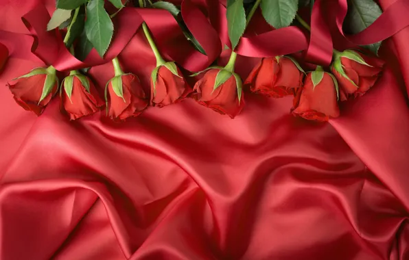 Картинка Бутоны, Ткань, Розы, Красные розы