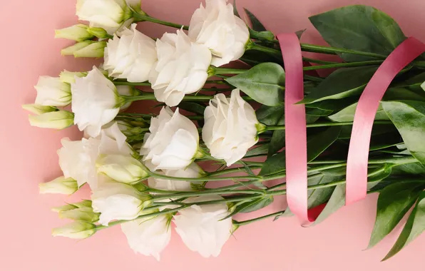 Цветы, лента, эустома