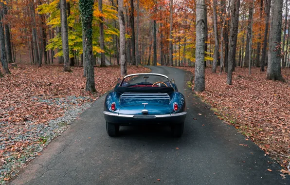 Картинка Jaguar, rear, 1957, XKSS, Jaguar XKSS