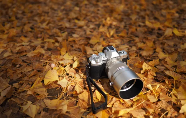 Картинка осень, листья, фотоаппарат, Olympus OM-D
