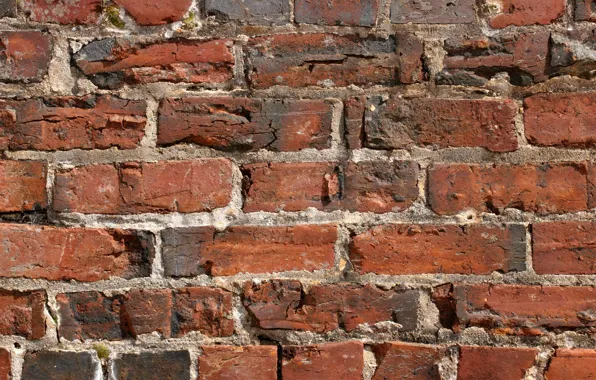 Стена, цвет, текстура