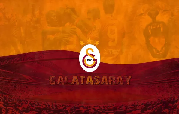 Wallpaper, sport, logo, stadium, football, Galatasaray SK, Turk Telekom Arena