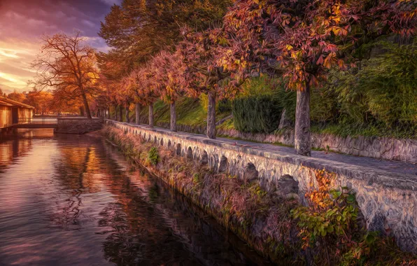 Картинка осень, деревья, озеро, Швейцария, набережная