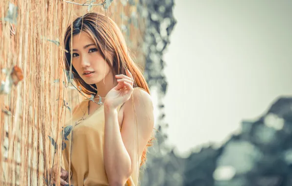 Взгляд, азиатка, карие глаза, asian, милая девушка