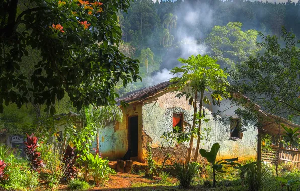 Картинка дом, деревня, джунгли, hdr, HOUSE, COUNTRY