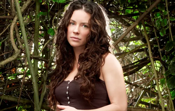 Evangeline lilly, актриса, брюнетка, красотка, эванджелин, лили