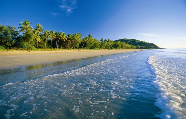 Картинка пляж, пальмы, океан, берег