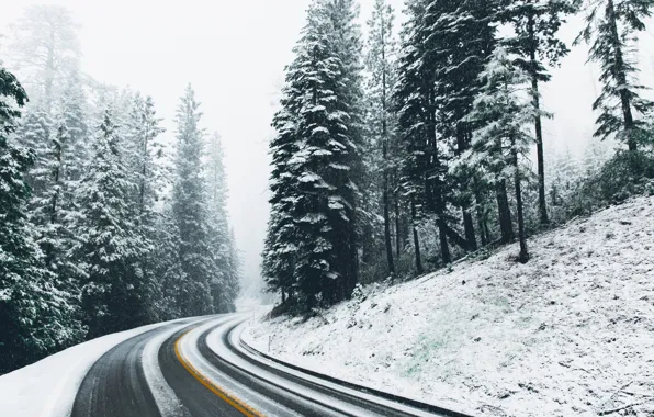 Зима, дорога, лес, снег, природа