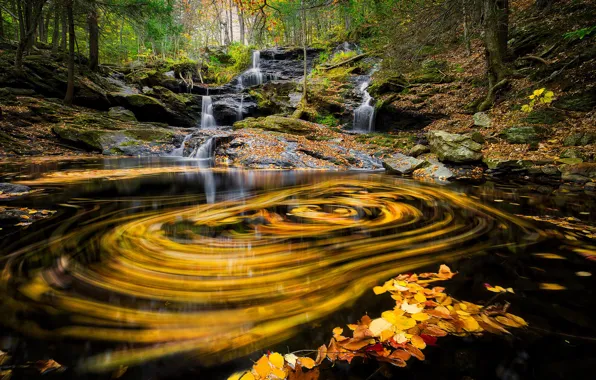 Картинка осень, листья, деревья, желтые листья, водопад