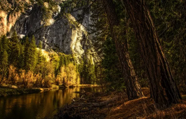 Вода, деревья, горы, скалы, обработка, Калифорния, США, Национальный парк Йосемити