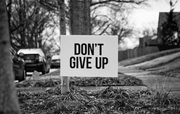 Надпись, улица, табличка, мотивация, don't give up, не сдавайся