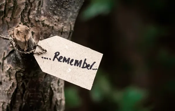 Дерево, веревка, ствол, записка, напоминание, слово, remember