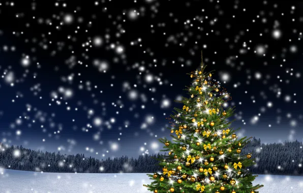 Картинка зима, лес, снег, украшения, деревья, снежинки, ночь, природа