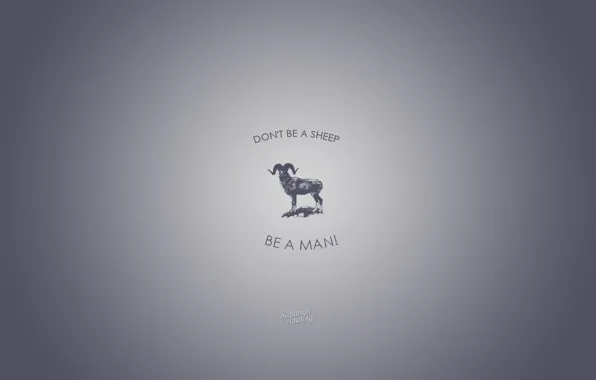 Серый, баран, Животные, dont