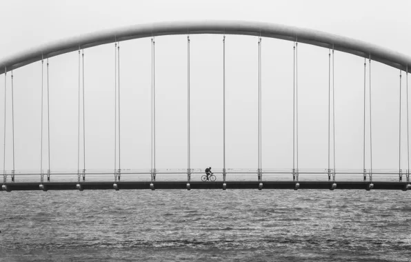 Bicycle, ocean, bridge, water, black and white, architecture, suspension, b/w