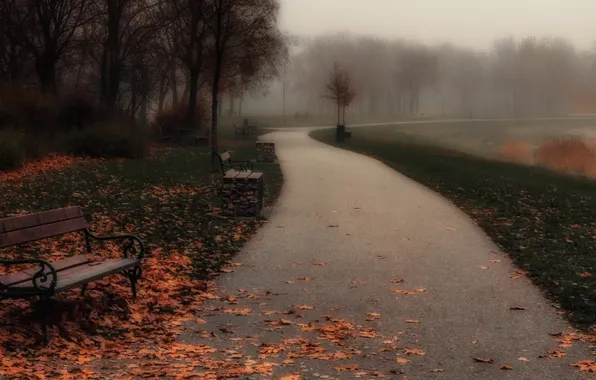 Картинка осень, туман, парк, скамья