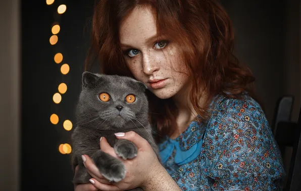 Кошка, кот, девушка, серый, портрет, веснушки, друзья, рыжеволосая