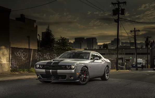 Картинка Dodge, Challenger, street, 392, SRT, 2015