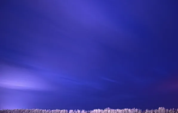 Природа, река, дерево, выдержка, Дунай, Измаил, синий.